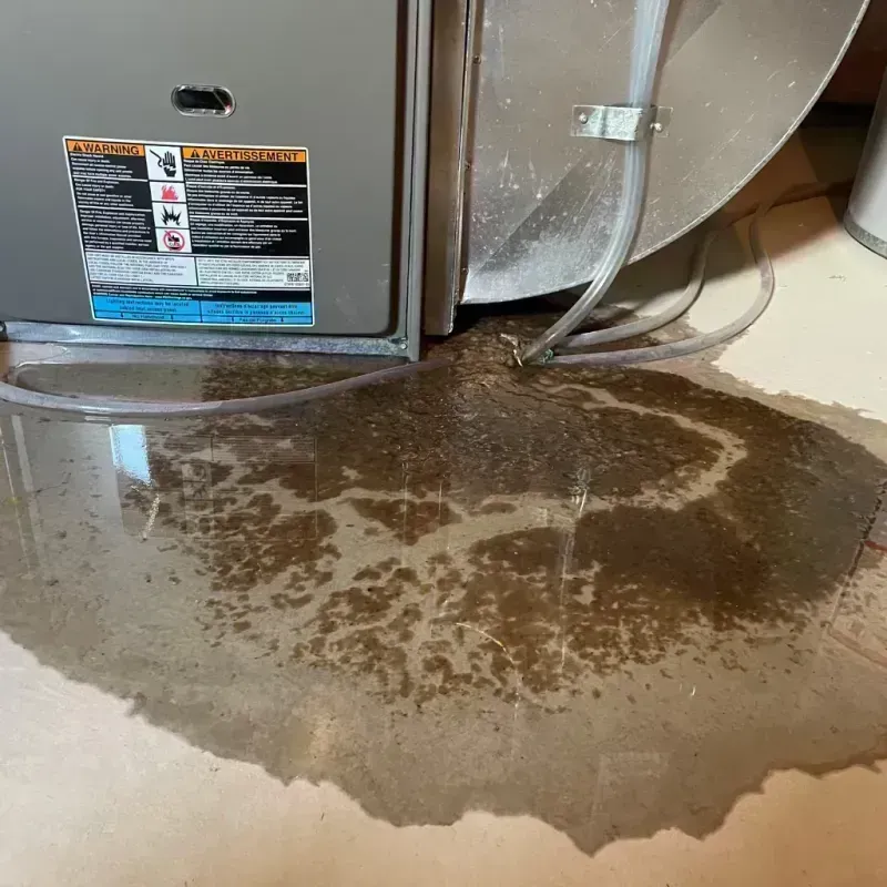 Appliance Leak Cleanup in Sulphur, OK